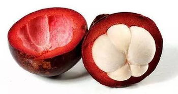 你每天都吃的南方水果 你知道是這樣長(zhǎng)出來(lái)的嗎