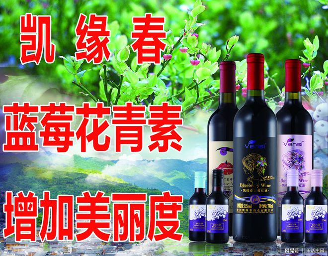 凱緣春藍莓酒搶灘海南自貿港 酒業進出口新機遇與市場布局